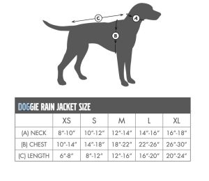 Dog Rainwear Sizing Chart Charles River Apparel 1099