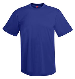 Hanes Cool Dri Performance T-Shirt Style 4820 4