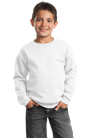 Port & Company – Youth Crewneck Sweatshirt Style PC90Y 22